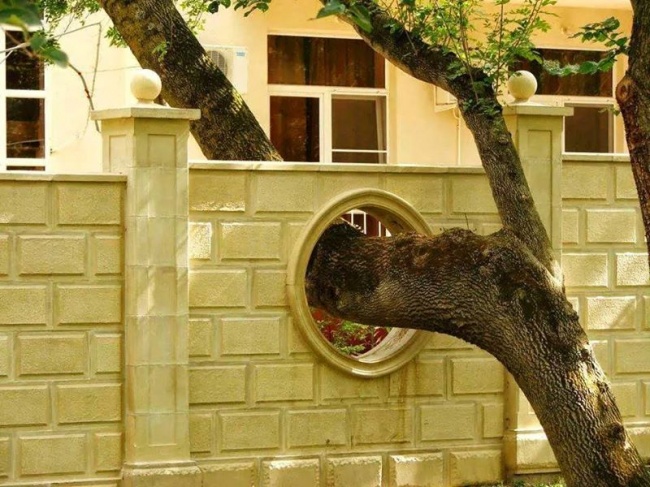 Ingeniosas construcciones alrededor de árboles existentes
